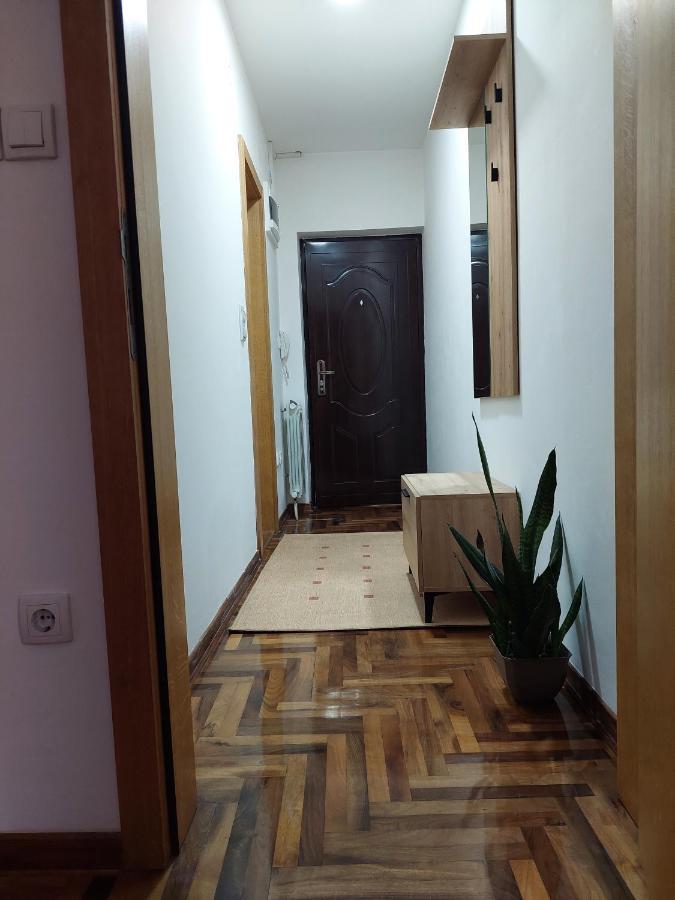 Apartman Dordevic Kraljevo Dış mekan fotoğraf